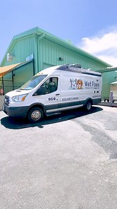 3.9K views · 83 reactions | Thank you Wet Paws Mobile Pet Grooming! We love when our friends step up to help give the pets in our care a cleaner transition to their new homes  #MobilePetGrooming #ShelterDogBath #ShelterDogs #WetPaws #Grooming #PetGrooming #AnimalHumaneNM #AHNM | Animal Humane New Mexico | Facebook