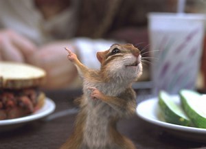 Η Μαγεμένη (2007) | Cityportal.gr