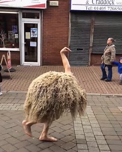 😃😃😃 | Crafti