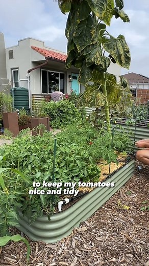 To ensure you have plenty of tomatoes for sauce, grow the Roma or paste varieties. 🌿🌿 #foundation #personalgrowth #naturalingredients #plants | The Plant Whisperer