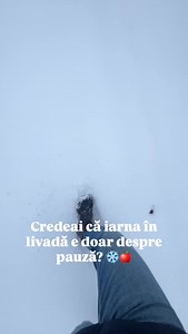 ❄️🍎 Astăzi am ieșit prin zăpadă să adunăm capcanele pentru Cydia pomonella. Le spălăm, le pregătim și le dăm o nouă viață pentru noul sezon. ♻️ Voi cum vă pregătiți livada în această perioadă? 👇 #livada #protection #cydia | Daniel Calancea