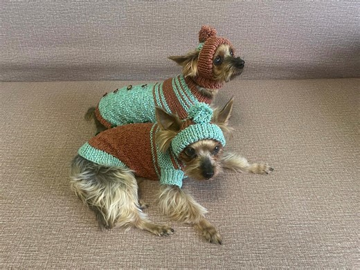 Turquoise-brown Dog Costume for Small Breeds - Hand-knit Cozy Outfit in «cocoa Mint» Design [size M | Sku: Mrnk-20] - Etsy