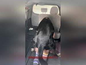 Hot Girl Dogging on Bus