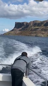 😮 Dolphins swimming alongside boats off the coast of Fair Head, Co.Antrim 🐬 📸 Aquaholics | Causeway Coast Community