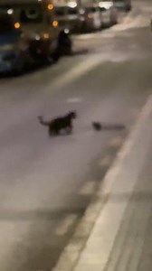 What 😲😲😲😲😲😲 | Attitude Status.