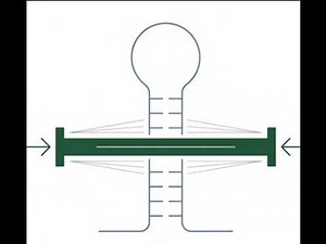 Cleaning Up the MicroRNA Map: Introducing miRScore for Rapid and Precise miRNA Validation