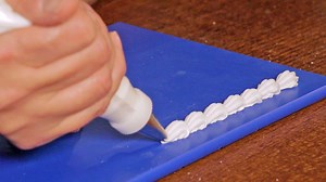 Beginner Piping Tutorial | Royal Icing Lines, Stars, Dots, and Shells