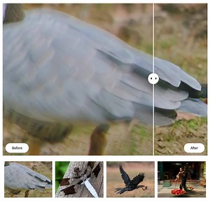 Use Topaz Labs Sharpen AI to optimize these 3 things: ✔︎ Stabilize: Natural shake reduction ✔︎ Focus: Better focus correction ✔︎ Sharpen: General input sharpening On Sale $59.99 → topazlabs.com/sharpen-ai | Topaz Labs