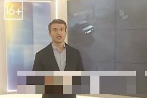 Самые "русские" новости про медведя и пьяницу