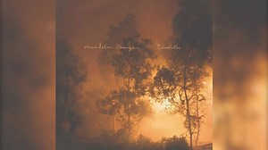 20K views · 139 reactions | Head over to Amazon Music to snag Blindfaller, This Side of Jordan AND Such Jubilee digitally for $5.99 each! | Watchhouse | Facebook