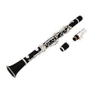 [Hot Item] Wholesale Beginner Cheap Clarinet, Made in China