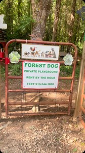 🌲Forest Dog Private Playground in Wake Forest NC is OPEN DAILY for a fun, FULLY FENCED unleashed snifari for dogs. Text Farmer Mary at 919-244-1800 to schedule a visit with YOUR dog/s. 🌲Forest Dog Private Playground is located at 12936 Ghoston Road. Private parking lot. Private access to the property for ONLY you, your dogs and your guests during your visit. 🎾INCLUDED: Tennis balls, tug toys in trees, dog agility equipment, hammocks, 🧺picnic tables, seating areas, variety of sunscreen & bug 