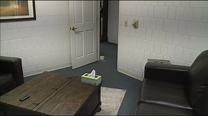 Sexual violence affects millions each year in the US; how a local treatment center is getting the word out