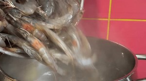 Rohe Königsgarnelen in kochendem Wasser im: Stockvideos & Filmmaterial (100 % lizenzfrei) 4002433501 | Shutterstock