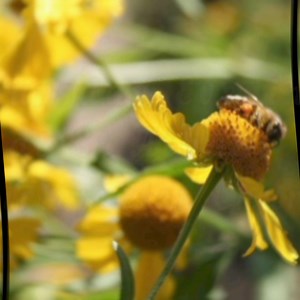 44 shares | On Thursday, 20thJune, St Albans Spiritualist Church is...