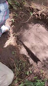 3.2K views · 97 reactions | The treasures found in the backyard of the house. | Archaeological Mysteries | Facebook