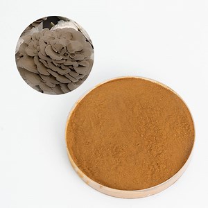 [Hot Item] Maitake Mushroom Powder Extract Grifola Frondosa Extract 10%-50% Polysaccharide