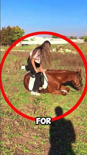🐴 First Ride Magic: Horse Helps Her Climb! #shorts