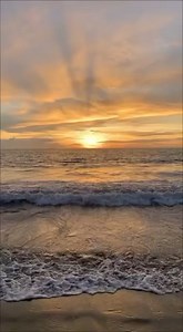 2.2M views · 10K reactions | Comel kan anak kucing parsi Video dari tik tok | Dunia Haiwan | Facebook