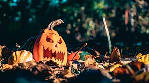 Halloween zoom background video free