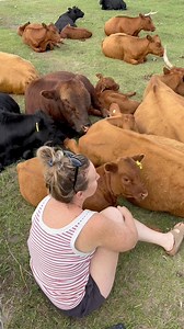 🐂Just chillin with the herd! #dexter #cows #homestead #farm #fun | Arkopia