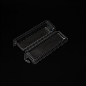 [Hot Item] Disposable Plastic Clamshell Packaging Box for Food Products