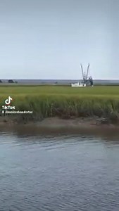Local shrimp boat Silver Fox returns to the docks at the Gay Fish Company on St. Helena Island after working the Atlantic. 💙 #beaufortsc #seaislands #shrimpboat #lowcountrylife #shrimping #shrimplocal #supportlocalshrimpers | Explore Beaufort, SC