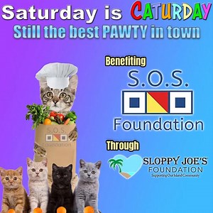 MEOW😺 SOS Foundation is the PURRRfect partner for Saturday CATurday’s in February hosted by The Sloppy Joe’s Foundation😻 Star of the Sea Foundation’s (SOS) mission is to foster a healthier Monroe County community by increasing equitable food access through food distribution, food recovery, and nutrition education🫶 To find out how you can help visit sloppyjoesfoundation.org 🏝️🫶 #caturday #purrfectpawty #sloppyjoesfoundation #sloppyjoesbar #stillthebestpartyintown | Sloppy Joe's Bar