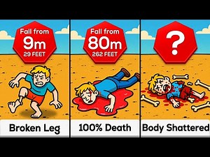 Comparison: You Falling From Every Height