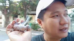 MORNING MORNING DELIVERY Maraming salamat po sa inyong pagtitiwala sa Dan's Ibunan #DansIbunanATBP #CertifiedKapakpak | Dan's Aviary ATBP