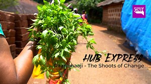 2.1K views · 18 reactions | Hub Express || Canacona #HubExpress || Presenting Hub Express, but with tasty twist. Join us as we travel to Canacona, where a new-age green revolution is all set to take off. | Goa News Hub | Facebook