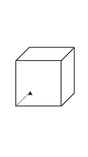 Draw with code. Cube #coding #python