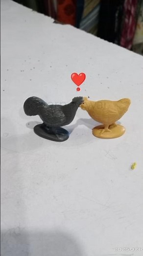 hen and cock love #love #happy #findlove