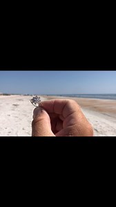 240 reactions · 6 comments | I can’t believe how much I found today #detecting #beach #ocean #sand #ckg #scoop #digging #insane | Joe Digger | Facebook