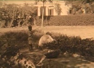 478K views · 7.5K reactions | Aligarh City India in the 1930s. | Indian Reunification Association | Facebook