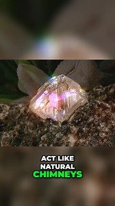 1.5M views · 19K reactions | Pandanus candelabrum only grows on kimberlite rock formations, hinting at something amazing. These formations can act as natural chimneys, bringing diamonds from the Earth's mantle to the surface. You might be standing on a fortune. #PandanusCandelabrum #Kimberlite #DiamondDiscovery #Geology #RarePlants #TreasureHunt | Mineral Gemstones | Facebook