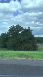 Cũng Duy Nguyễn trải nghiệm cảm giác "đường mòn" cao tốc độc lạ bên Mỹ, những cung đường xấu không đẹp nha. | THOL Gym