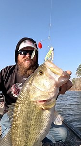 Even amongst spinnerbait enthusiasts this color combination is often overlooked. Don't forget about the "Lemonade Twist"! It's the only time Matt doesn't throw Double Willow spinnerbaits and he's making the exception for a reason! THE BAIT... •River2Sea 1/2 oz Bling Spinnerbait: https://bit.ly/2t5jecE Color: Lemonade Twist •Damiki 4" Armor Shad: https://bit.ly/2KtPDAT Color: Pearl White THE COMBO... Rod– Megabass Destroyer P5: https://bit.ly/3wHoXpD Model: FMJ, 7'3" Medium Heavy Reel– Shimano Me