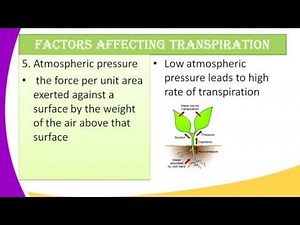 Form2 Biology Lesson5 FACTORS AFFECTING TRANSPIRATION