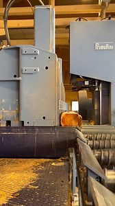 sawing larch 😎🪚 2500 planks #woodworking #wood #handmade #woodworker #woodwork #primultini #design #woodart #art #homedecor #furniture #wooddesign #carpentry #woodcraft #woodshop #woodcarving #carpenter #handcrafted #woodturning #maker #furnituredesign #interior #decor #home #tools #woodworkingcommunity #woodworkers #woodworkingprojects #diycraft | Bauholz segheria - Sägewerk