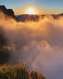 95K views · 11K reactions | Tegu šie vaizdai ir muzika paliečia ir tavo širdį... ❤️ | Rytis ir Violeta | Facebook