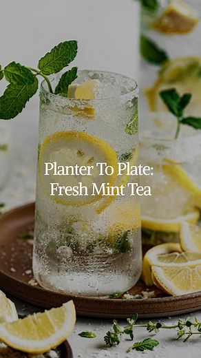 🍃🧊 Fresh Mint Tea in Minutes! Why buy packaged when you can brew your own soothing tea at home? Just steep fresh mint leaves straight from your planter and enjoy a calming, refreshing cup✨ Perfect for winding down, aiding digestion, or a cozy afternoon pick-me-up! #FreshHerbs #MintTea #HomeBrewing #CedarPlanters #HerbalRemedies #ZeroWasteTips #PlantMagic #EasyHomeHacks #FreshHerbs #QuickRecipes | Cedar Planters