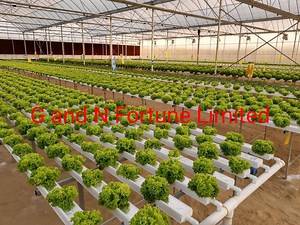 [Hot Item] Vertical Hydroponic System Nft Channels Feed Tube Hydrophonics