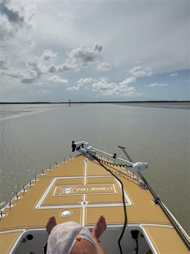 Angling Adventures on Reels