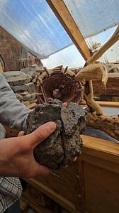 Aurora, Nevada thunderegg we recently collected from around the old mining Ghost town in Nevada. #thekeadys #thefamilythatminestogether #rockchucknevada #therockchuck #smallbusinessbigdreams #aurora #Nevada #wildnevada #thunderegg #geode #Agate #opal #chalcedony #reveal #RockShop #ghost #town #history | Chelsea Keady