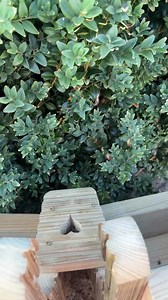 Personalised Love Seat Bench Planter: Wooden Garden Decor Gift Birthday - Etsy UK