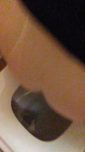 Quick poop - video 24
