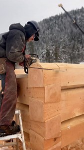 60K views · 3.4K reactions | Dovetail Log Home we built a couple...