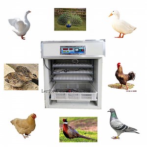[Hot Item] Automatic Solar Hatchery Poultry Goose Duck Egg Incubator Machine