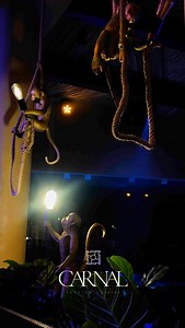 Grand Sirenis Riviera Maya Resort & Spa on Reels | Facebook